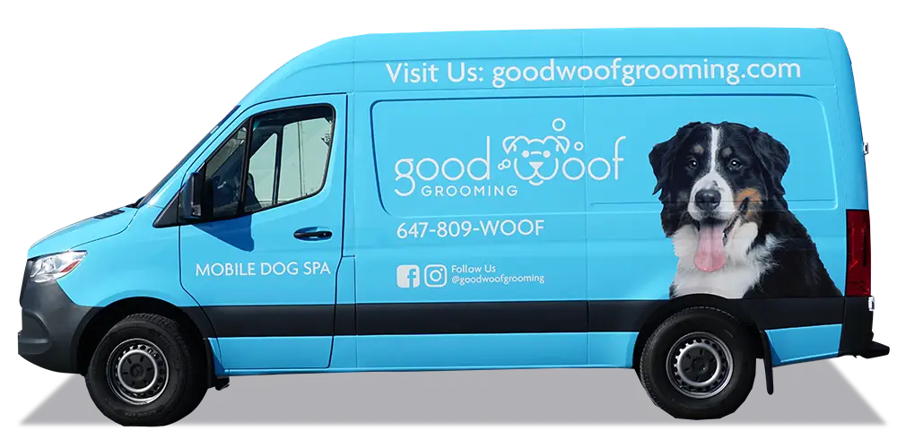 Sprinter High Roof - Full Wrap - Goodwoof