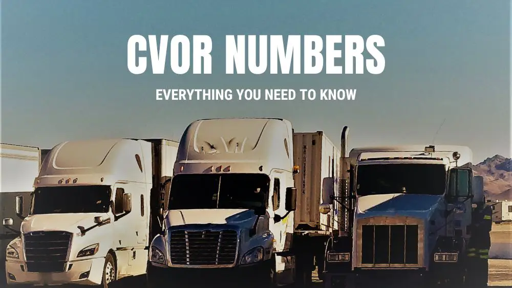 CVOR Numbers - Everything you need to know - Branding Centres